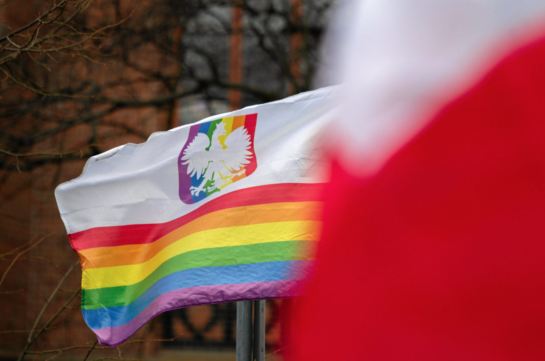 DAL MONDO – Anche la Polonia contrasta la propaganda Lgbt. In Italia è utopia? 1